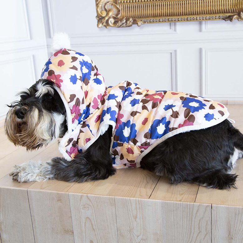Outech Spring Abrigo para perros, , large image number null